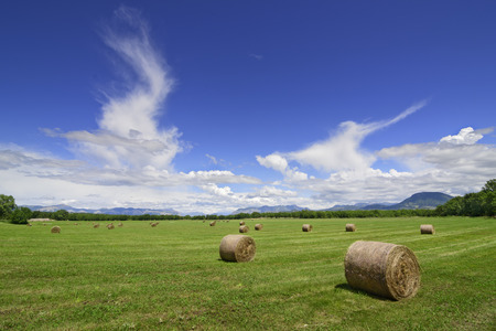 Landscape with hay bales in the filed with amazing blue skyの写真素材