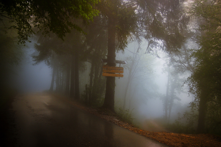 Rainy foggy mountain road in Meduno, Italy        の写真素材