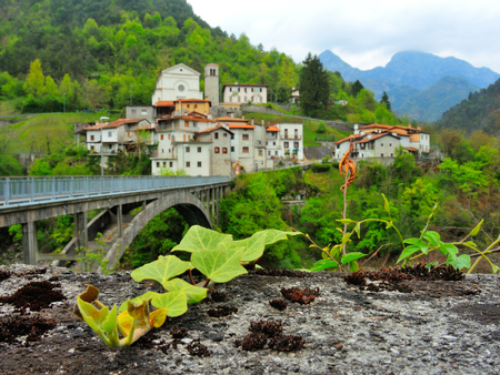 Small ancient alpine village with bridge and mountainsの写真素材