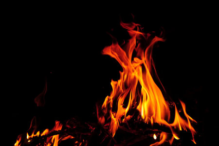 Campfire in the night background with fire flames and firewood
