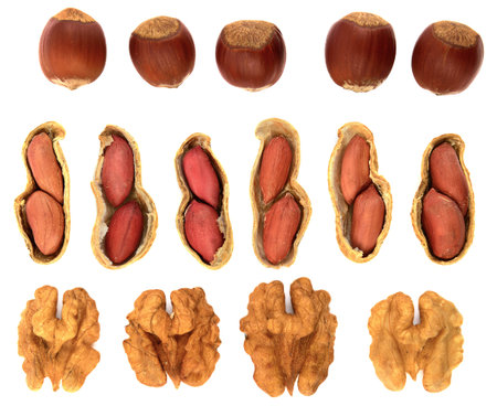 Set of different nuts isolated on white. Walnut, peanut, hazelnut.