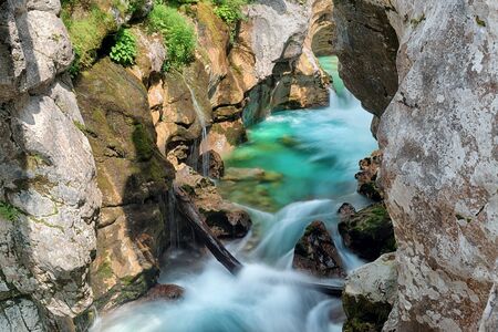 Picturesque mountain river in a gorge with blue clean waterの写真素材