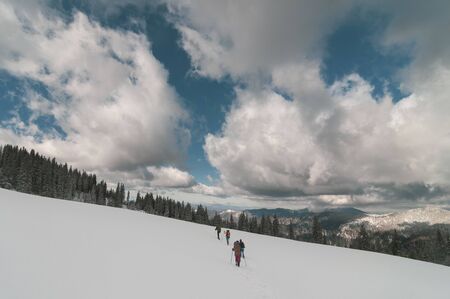 Winter hiking. Group of unrecognizable hikers on a trail high in the Carpathian mountains.の写真素材