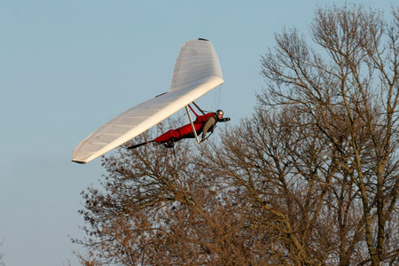 Hang glider pilot makes maneuvers close to the trees