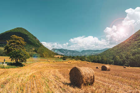Hay field in Provence countryside. Summer vacation in Franceの写真素材