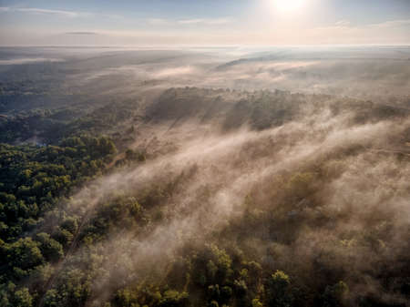Misty forest hills with morning fog and sun rays. Amazing forest landscape.の写真素材