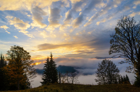 Amazing autumn nature in the wild. Morning high in the mountains with yellow trees and clouds in the...