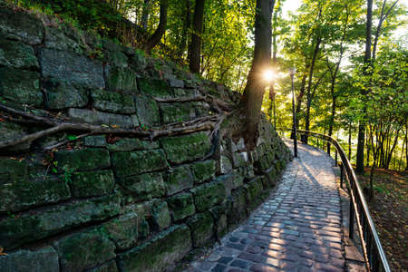 beautiful stone footpath in the morning parkの写真素材