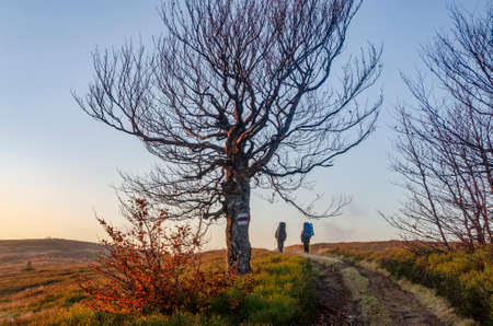 Two hikers with backpacks on the scenic mountain trail. Outdoor vacation and social isolation conceptの写真素材