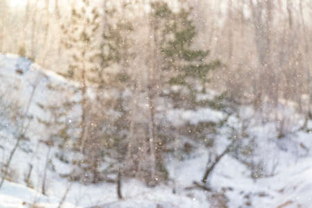 Shiny snowflakes in the sun. Winter abstract backgroundの写真素材
