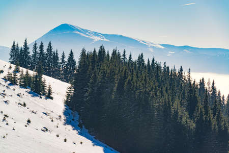 Winter in the Carpathian mountains. Beautiful weather for outdoor adventureの写真素材