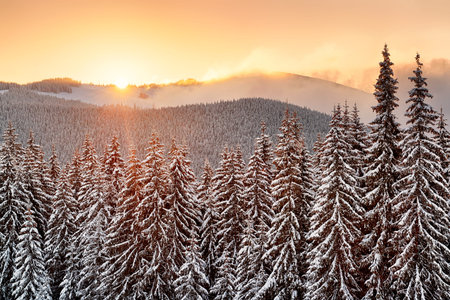 beautiful sunrise in the winter carpathian mountainsの写真素材