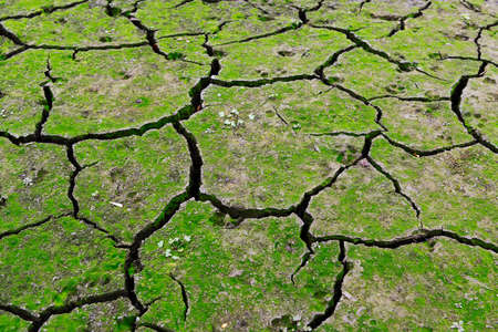 Cracked dried earth in a river bed without waterの写真素材