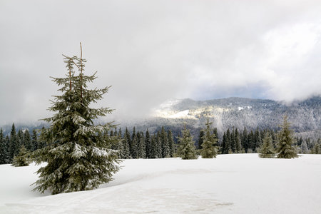 Winter scene deep in wild mountains