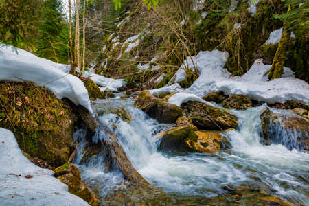 Scenic winter waterfall. Streams of melting water in the Carpathian mountains.の写真素材