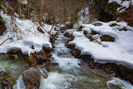 Mountain river stream in winter. Stream of melted snow in the mountain canyon