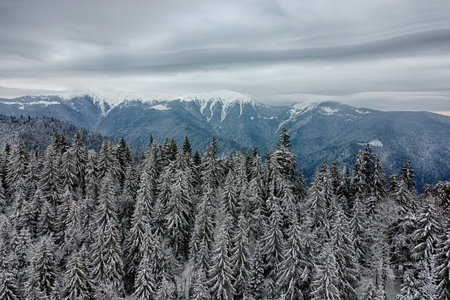 Moody winter landscape with overcast weather in the winter mountains