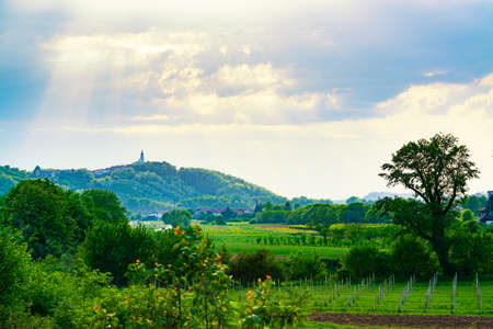 Gorgeous sunset in Vipava valley, Slovenia. Belltower and small town on the hill with green sunny valley and vineyards.の写真素材