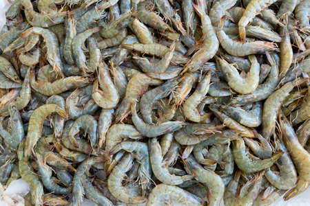 Giant blue shrimps in a market, a backgroundの写真素材