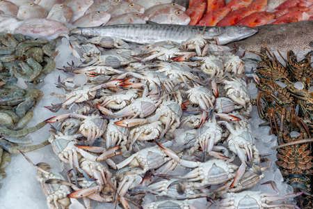 Fresh crabs, shrimps, lobsters and fish in a local fish marketの写真素材