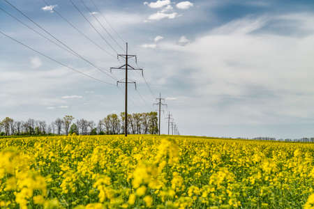 Blooming canola field and power lines. Countryside landscape in Ukraine. Energy and food supply crisis illustrationの写真素材