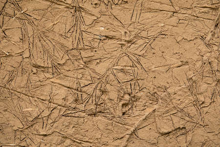 Wet cracked clay texture. Raw terracotta backgroundの写真素材