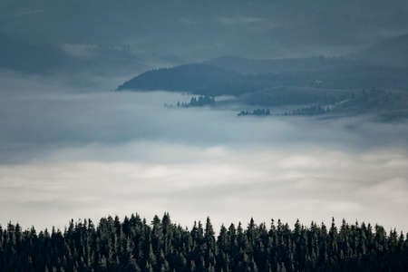 Sea of clouds in the mountain valley. Artisticalpine landscapeの写真素材