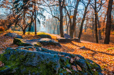 Indian summer in the park. Colorful autumn scene.の写真素材
