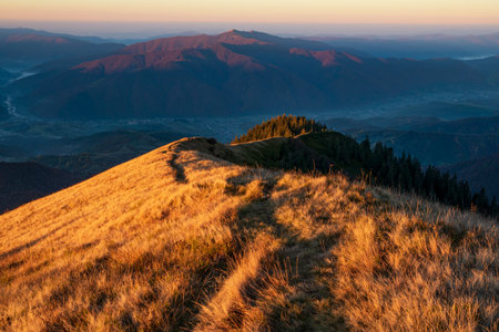 Amazing morning colors high in the mountains. Colorful mountain landscape in Carpathian mountains, Ukraineの写真素材