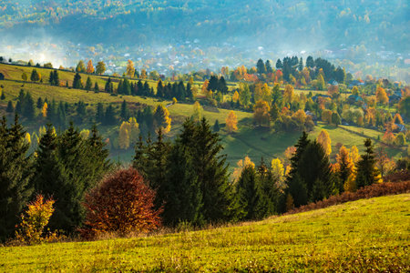 Idyllic sunny countryside hills and meadows in autumn. Postcard from Ukraineの写真素材