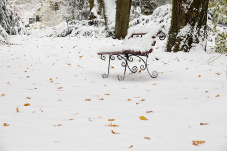 Park bench covered by snow in the tranquil city park. Fallen yellow leaves on the snow. Selective focus on benchの写真素材