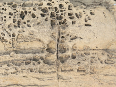 Unusual sandstone texture. Stone wall backgroundの写真素材