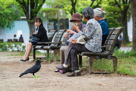 2019-05-28 Fukuoka, Japan. Old ladies feeding birds in the city parkのeditorial素材