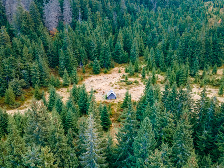 Tiny cabin in the woods. Aerial photo.の写真素材