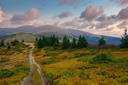 Beautiful alpine mountain range with dirt road at the sunset. Outdoor travel adventure.の写真素材