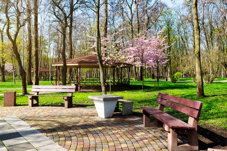 Benches and gazebos for resting in a beautiful sunny spring parkの写真素材