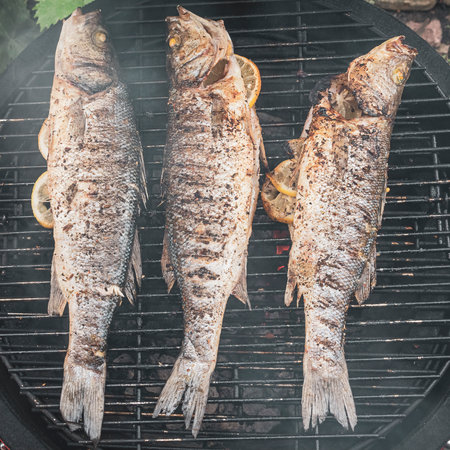 Barbeque grilled fish. Tasty meal on summer picnicの写真素材