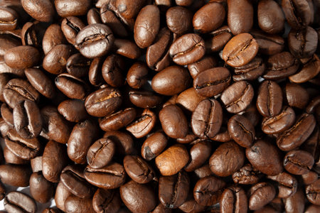 Fresh roasted coffee beans backgroundの写真素材