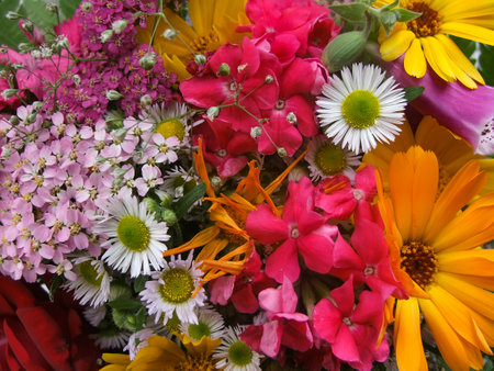 Bouquet of wildflowers. Mix of various field flowers of different color.の写真素材