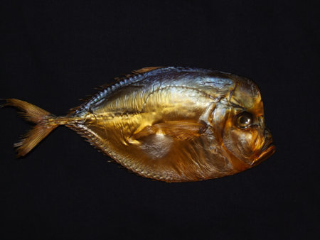 Smoked selene fish isolated on black.の写真素材