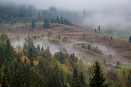 Idyllic wooden cabins in the foggy highlands. Autentic countryside life in the mountainsの写真素材