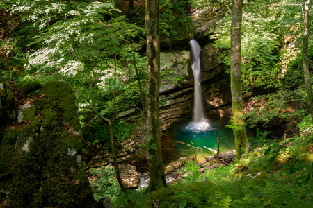 Picturesque waterfall hidden deep in the forest. Amazing nature of Soca valeey, Slovenia.の写真素材