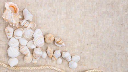 seashells on a background of natural linen fabricの写真素材