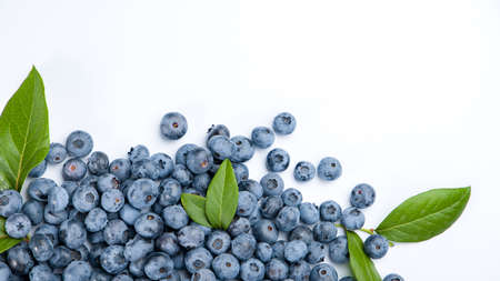 blueberries on a white backgroundの写真素材