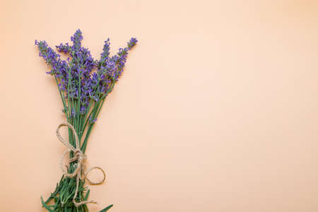 bunch of lavender on a orange backgroundの写真素材
