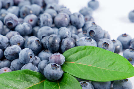 Blueberries close up with a green leaf.の写真素材