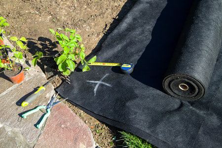 gardener tools on the groundの写真素材