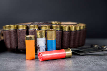 Hunting cartridge and various 12-caliber ammunition.の写真素材