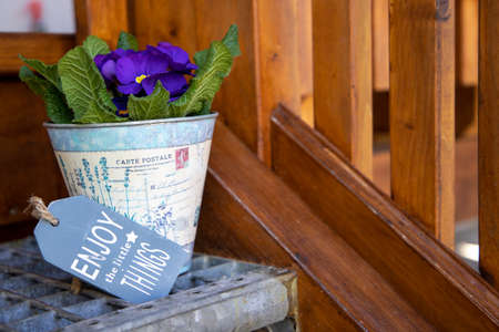 concept. Flowers in a pot on the doorstep.の写真素材