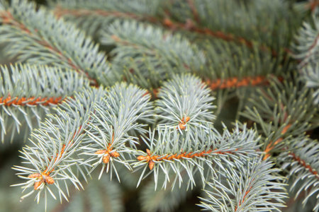 blue fire branches, close-up view